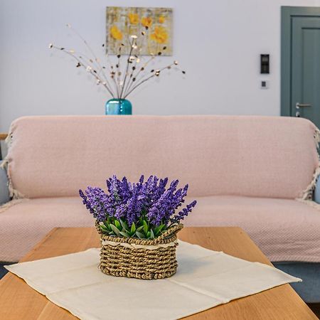 Kronstadt Olarilor Apartment Braşov Extérieur photo